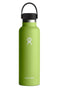 Hydro Flask Hydration 21oz Standard- Seagrass