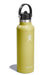 Hydro Flask 21oz Standard With Flex Straw- Cactus