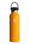 Hydro Flask Hydration 21oz Standard- Starfish