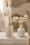 Al.ive Reed Diffuser- Sea Cotton + Coconut