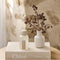 Al.ive Body Room Spray - Apricot + Sweet Fig