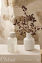 Al.ivy Body Room Spray- Mango & Lychee