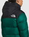 The North Face Women's 1996 Retro Nuptse Jacket- Evergreen