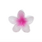 Emi Jay Super Bloom Clip- Wild Orchid
