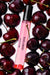 Who Is Elijah 10ML- Cherry Fiesta