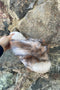 Emu Mayberry Slipper- Lava Chestnut